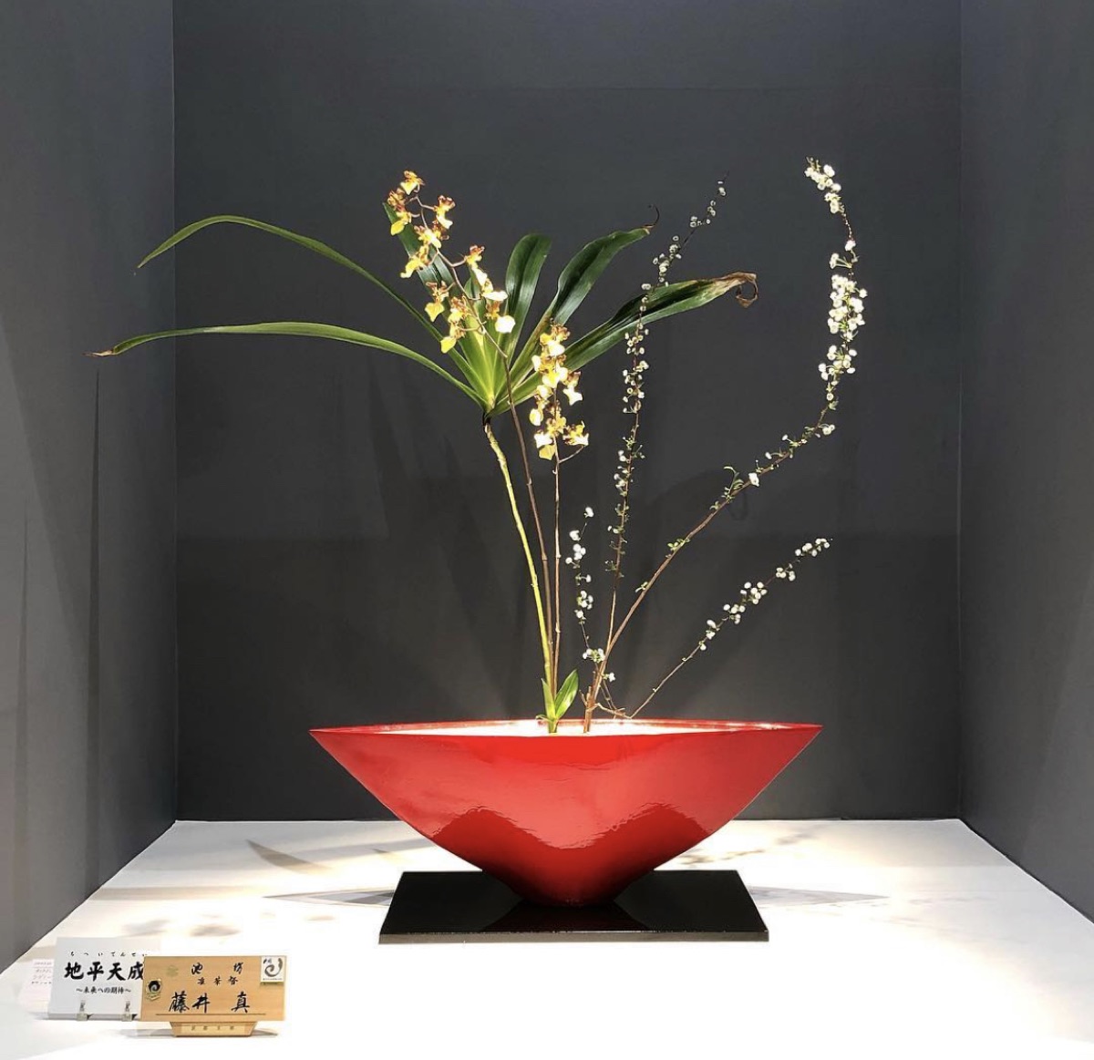 いけばな作品 ギャラリー