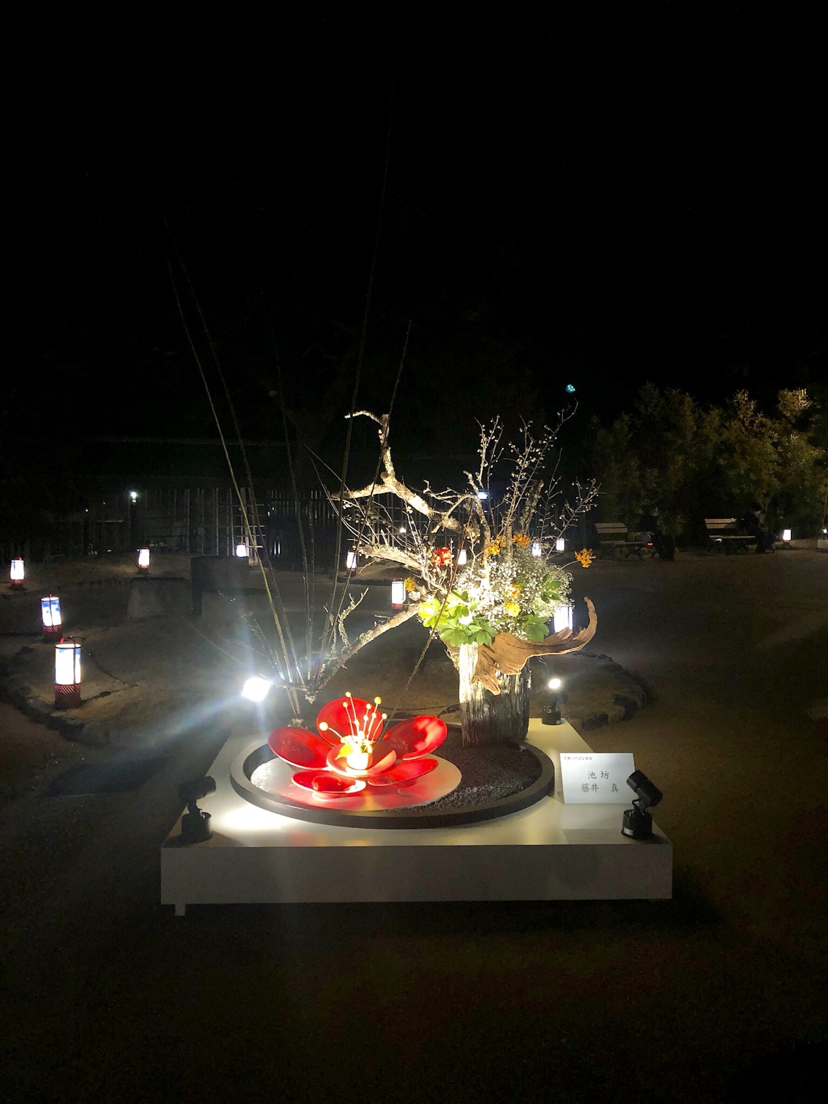 いけばな作品 夜間展示